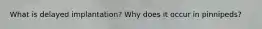 What is delayed implantation? Why does it occur in pinnipeds?