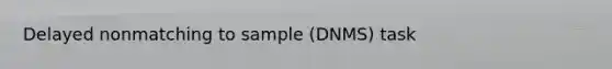 Delayed nonmatching to sample (DNMS) task