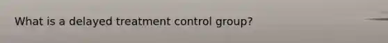 What is a delayed treatment control group?