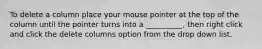 To delete a column place your mouse pointer at the top of the column until the pointer turns into a __________, then right click and click the delete columns option from the drop down list.