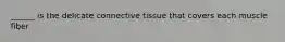 ______ is the delicate connective tissue that covers each muscle fiber