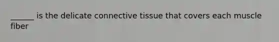 ______ is the delicate connective tissue that covers each muscle fiber