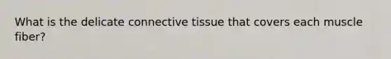 What is the delicate connective tissue that covers each muscle fiber?