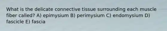 What is the delicate connective tissue surrounding each muscle fiber called? A) epimysium B) perimysium C) endomysium D) fascicle E) fascia