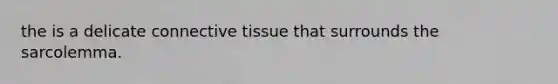 the is a delicate connective tissue that surrounds the sarcolemma.