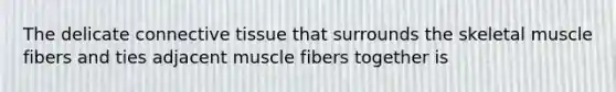 The delicate connective tissue that surrounds the skeletal muscle fibers and ties adjacent muscle fibers together is