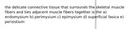 the delicate connective tissue that surrounds the skeletal muscle fibers and ties adjacent muscle fibers together is the a) endomysium b) perimysium c) epimysium d) superficial fasica e) periostium