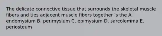 The delicate connective tissue that surrounds the skeletal muscle fibers and ties adjacent muscle fibers together is the A. endomysium B. perimysium C. epimysium D. sarcolemma E. periosteum