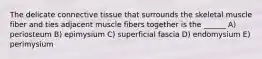 The delicate connective tissue that surrounds the skeletal muscle fiber and ties adjacent muscle fibers together is the ______ A) periosteum B) epimysium C) superficial fascia D) endomysium E) perimysium