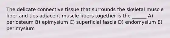 The delicate connective tissue that surrounds the skeletal muscle fiber and ties adjacent muscle fibers together is the ______ A) periosteum B) epimysium C) superficial fascia D) endomysium E) perimysium