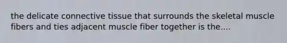 the delicate connective tissue that surrounds the skeletal muscle fibers and ties adjacent muscle fiber together is the....