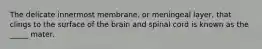 The delicate innermost membrane, or meningeal layer, that clings to the surface of the brain and spinal cord is known as the _____ mater.