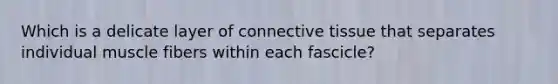 Which is a delicate layer of connective tissue that separates individual muscle fibers within each fascicle?