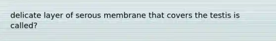 delicate layer of serous membrane that covers the testis is called?