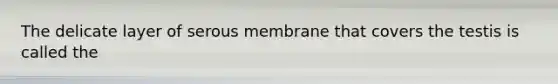 The delicate layer of serous membrane that covers the testis is called the