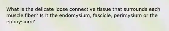 What is the delicate loose connective tissue that surrounds each muscle fiber? Is it the endomysium, fascicle, perimysium or the epimysium?