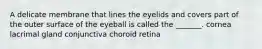 A delicate membrane that lines the eyelids and covers part of the outer surface of the eyeball is called the _______. cornea lacrimal gland conjunctiva choroid retina