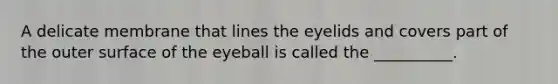 A delicate membrane that lines the eyelids and covers part of the outer surface of the eyeball is called the __________.