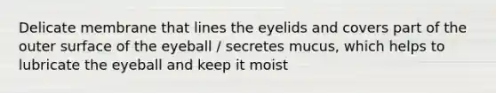 Delicate membrane that lines the eyelids and covers part of the outer surface of the eyeball / secretes mucus, which helps to lubricate the eyeball and keep it moist