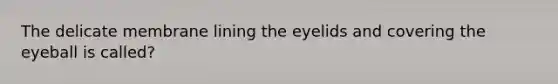 The delicate membrane lining the eyelids and covering the eyeball is called?