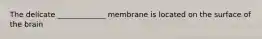 The delicate _____________ membrane is located on the surface of the brain