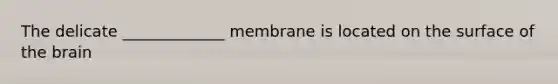 The delicate _____________ membrane is located on the surface of <a href='https://www.questionai.com/knowledge/kLMtJeqKp6-the-brain' class='anchor-knowledge'>the brain</a>