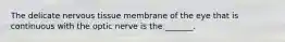 The delicate nervous tissue membrane of the eye that is continuous with the optic nerve is the _______.