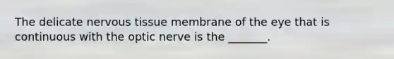 The delicate nervous tissue membrane of the eye that is continuous with the optic nerve is the _______.