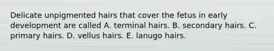 Delicate unpigmented hairs that cover the fetus in early development are called A. terminal hairs. B. secondary hairs. C. primary hairs. D. vellus hairs. E. lanugo hairs.