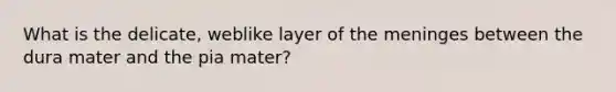 What is the delicate, weblike layer of the meninges between the dura mater and the pia mater?