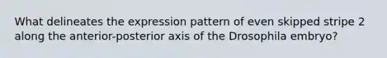 What delineates the expression pattern of even skipped stripe 2 along the anterior-posterior axis of the Drosophila embryo?