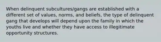 When delinquent subcultures/gangs are established with a different set of values, norms, and beliefs, the type of delinquent gang that develops will depend upon the family in which the youths live and whether they have access to illegitimate opportunity structures.