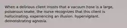 When a delirious client insists that a vacuum hose is a large, poisonous snake, the nurse recognizes that this client is hallucinating. experiencing an illusion. hypervigilant. demonstrating agnosia.