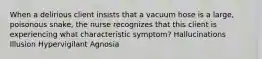 When a delirious client insists that a vacuum hose is a large, poisonous snake, the nurse recognizes that this client is experiencing what characteristic symptom? Hallucinations Illusion Hypervigilant Agnosia