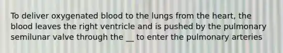 To deliver oxygenated blood to the lungs from the heart, the blood leaves the right ventricle and is pushed by the pulmonary semilunar valve through the __ to enter the pulmonary arteries