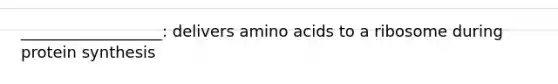 __________________: delivers amino acids to a ribosome during protein synthesis