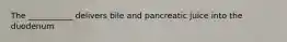 The ___________ delivers bile and pancreatic juice into the duodenum