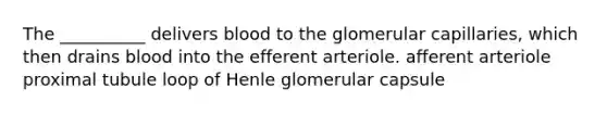 The __________ delivers blood to the glomerular capillaries, which then drains blood into the efferent arteriole. afferent arteriole proximal tubule loop of Henle glomerular capsule