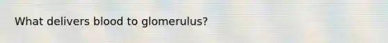 What delivers blood to glomerulus?