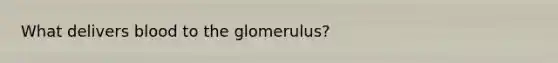 What delivers blood to the glomerulus?