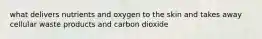 what delivers nutrients and oxygen to the skin and takes away cellular waste products and carbon dioxide