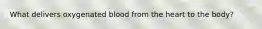 What delivers oxygenated blood from the heart to the body?