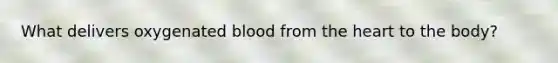 What delivers oxygenated blood from the heart to the body?