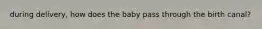 during delivery, how does the baby pass through the birth canal?