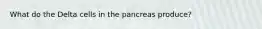 What do the Delta cells in the pancreas produce?