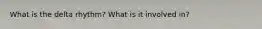 What is the delta rhythm? What is it involved in?
