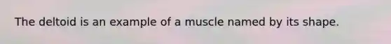 The deltoid is an example of a muscle named by its shape.