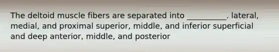 The deltoid muscle fibers are separated into __________. lateral, medial, and proximal superior, middle, and inferior superficial and deep anterior, middle, and posterior