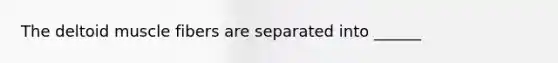 The deltoid muscle fibers are separated into ______