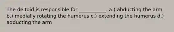 The deltoid is responsible for ___________. a.) abducting the arm b.) medially rotating the humerus c.) extending the humerus d.) adducting the arm